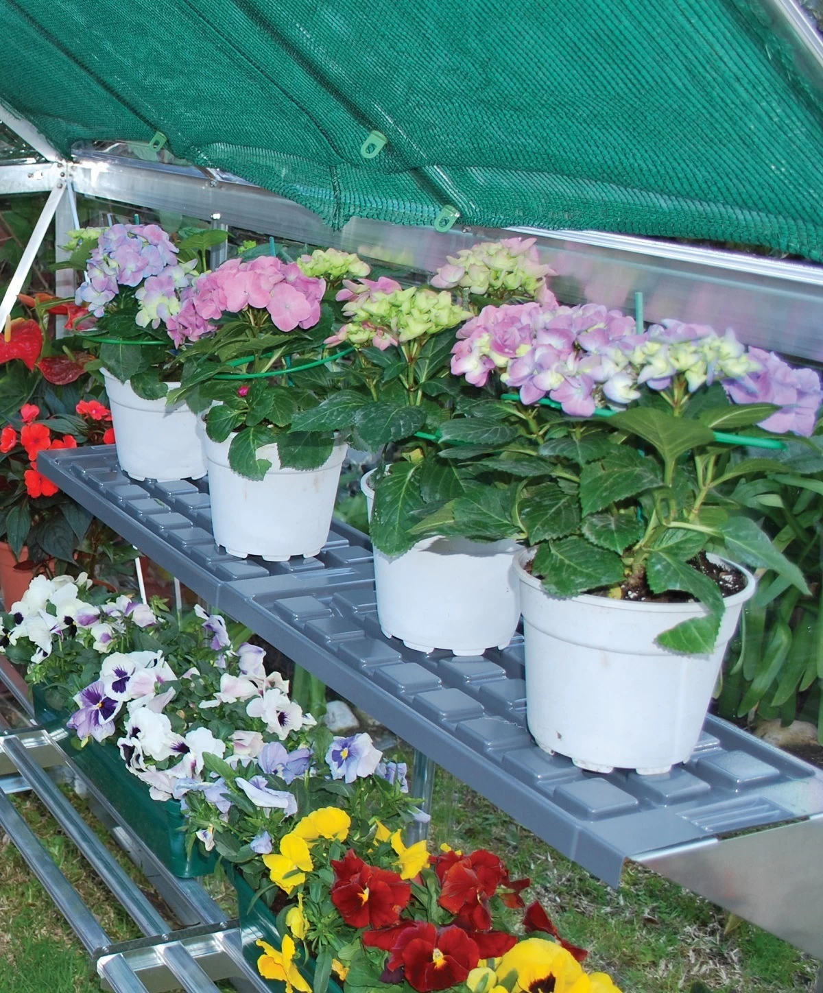 Maze Greenhouse Twin Shelf Kit - Image 3