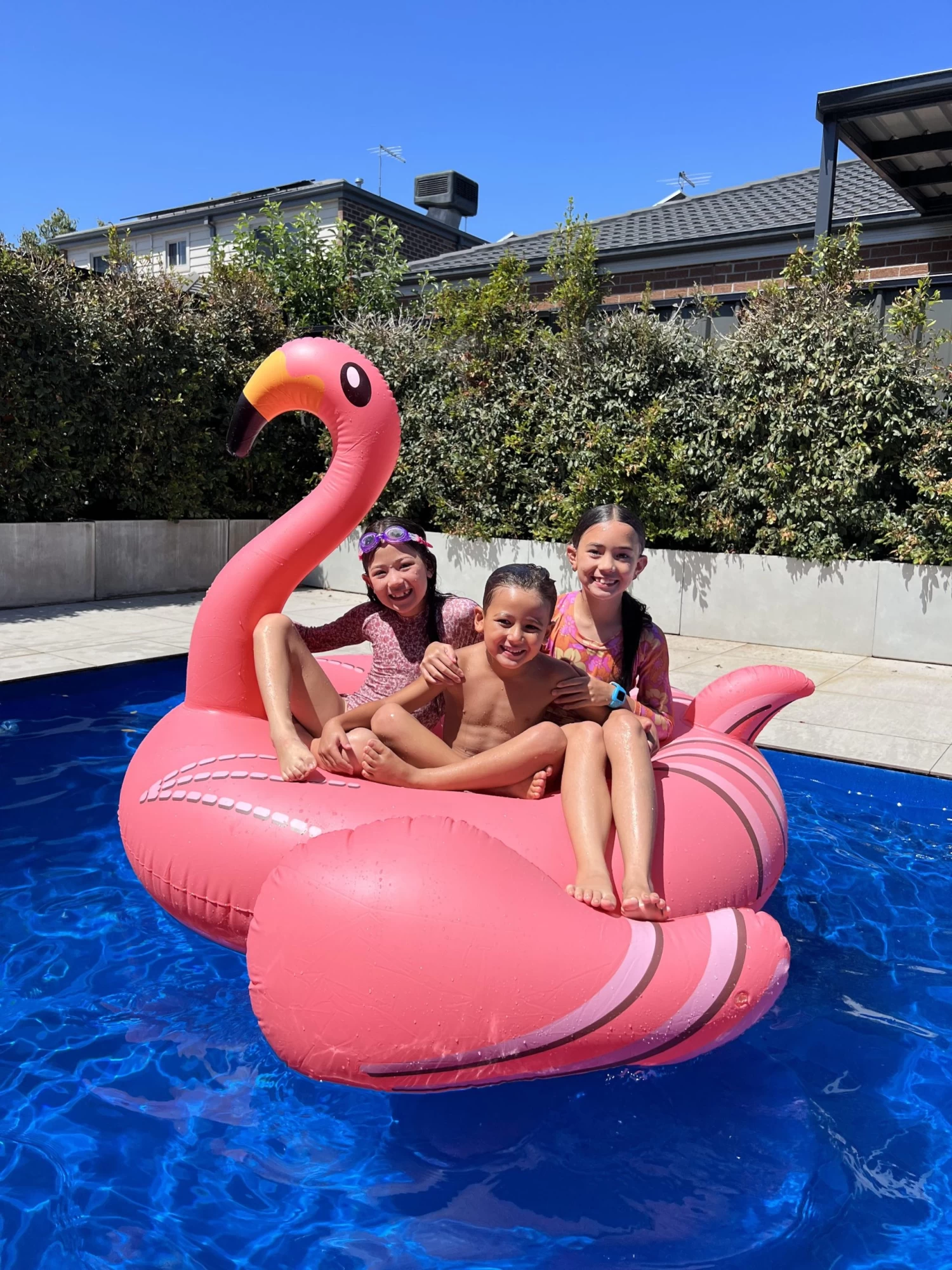 Giant PVC Inflatable Flamingo Pool Toy Float Pink - Image 3