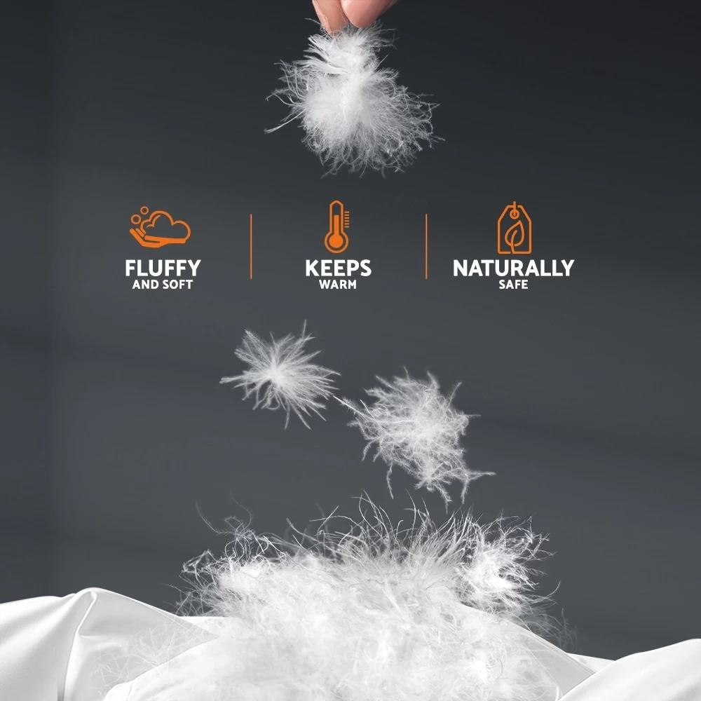 Goose Down Quilt W/ Feather 500GSM Quilts Soft Cotton Duvet Cover Blanket All Season King Size Bed - Image 6