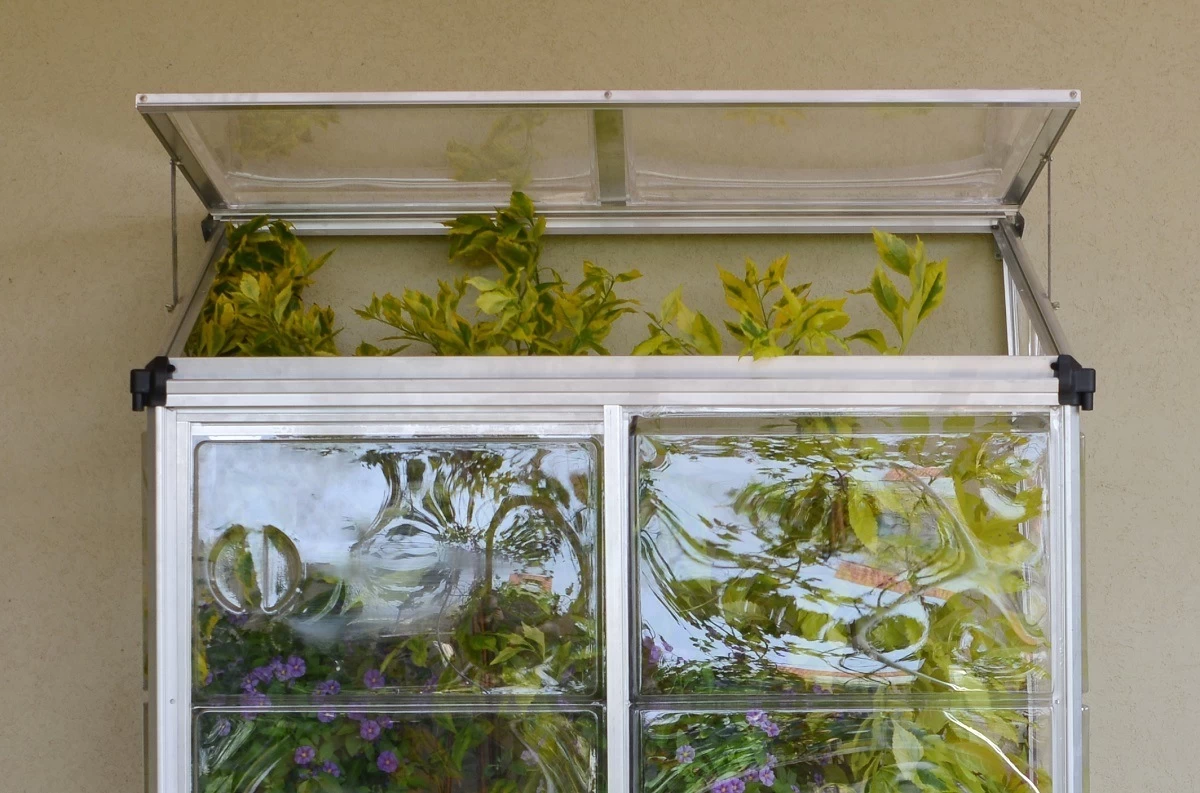 Maze Polycarbonate Greenhouse 4ft X 2ft Lean To - Image 4